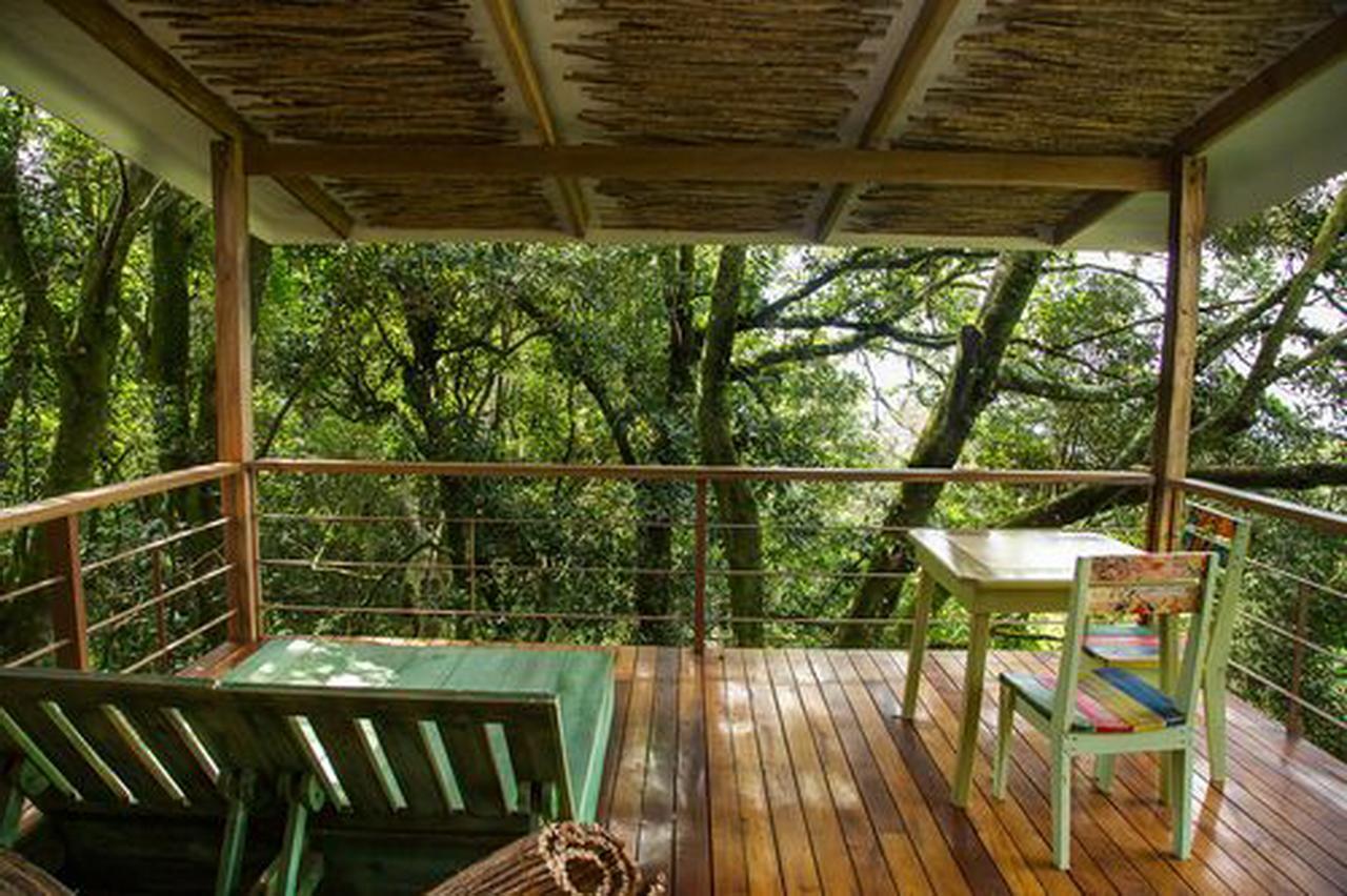 Chayote Lodge Zarcero المظهر الخارجي الصورة